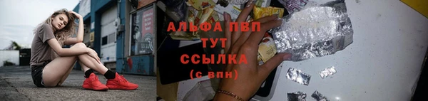 ешки Карпинск